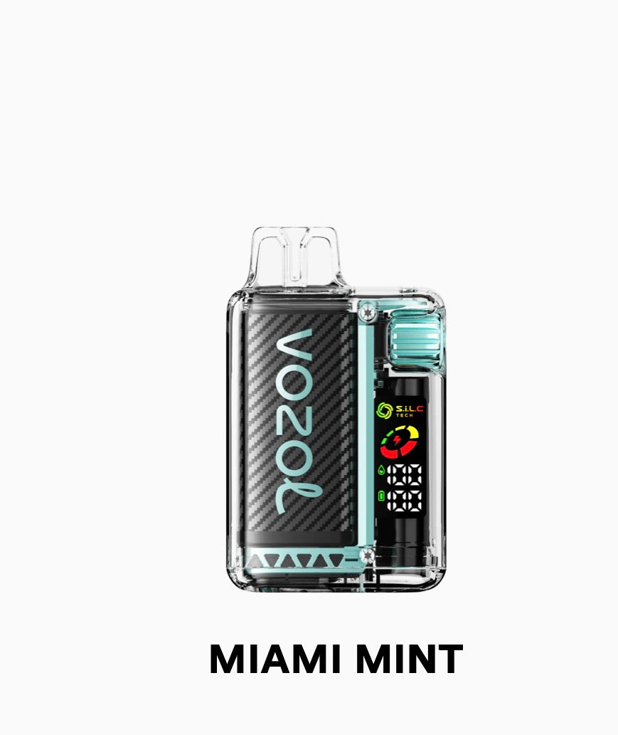 VOZOL VISTA 20000puffs