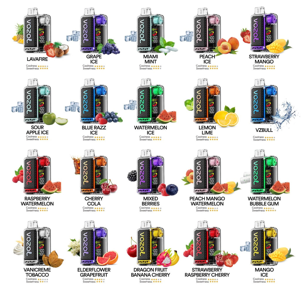 VOZOL VISTA 20000puffs