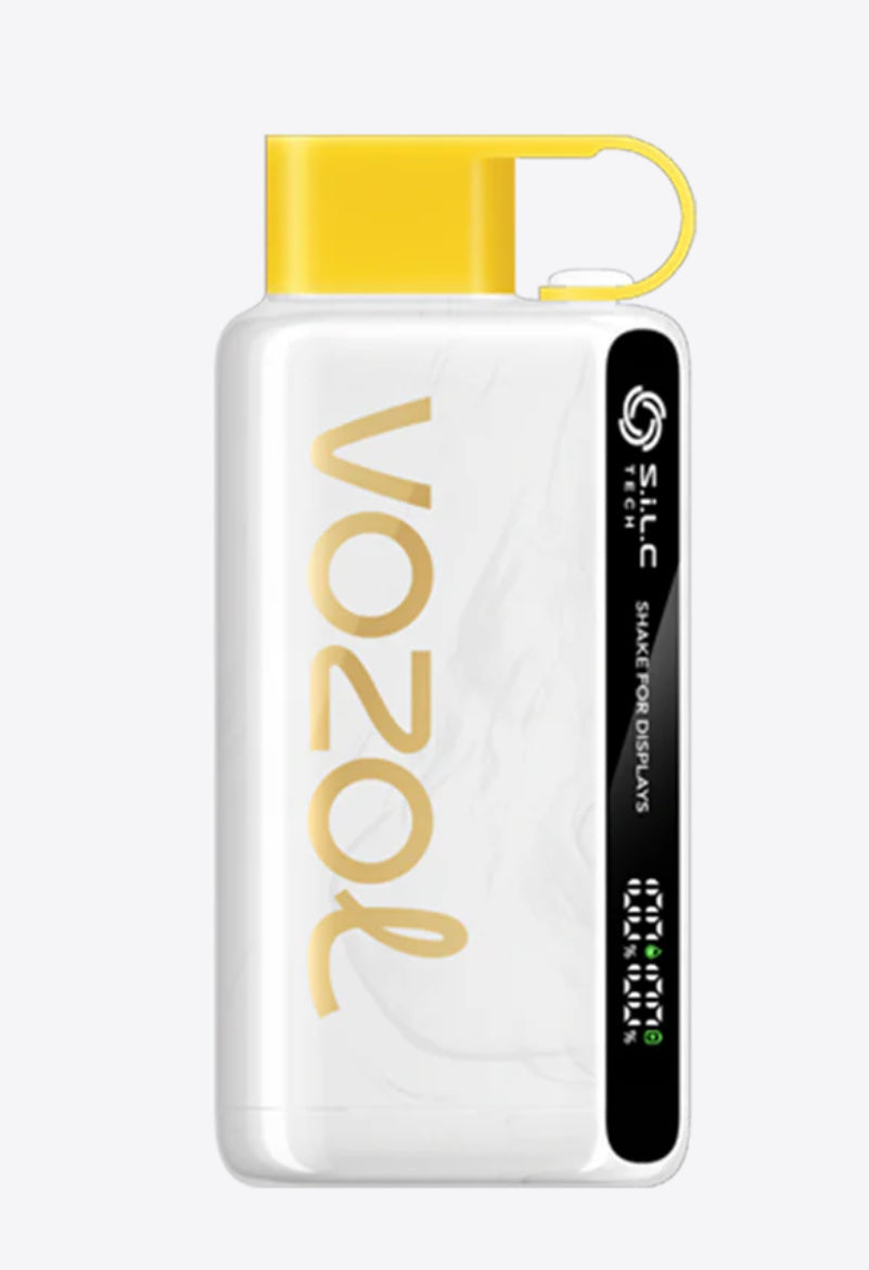 VOZOL STAR 12000Puffs