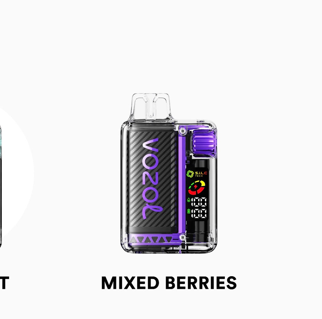 VOZOL VISTA 20000puffs