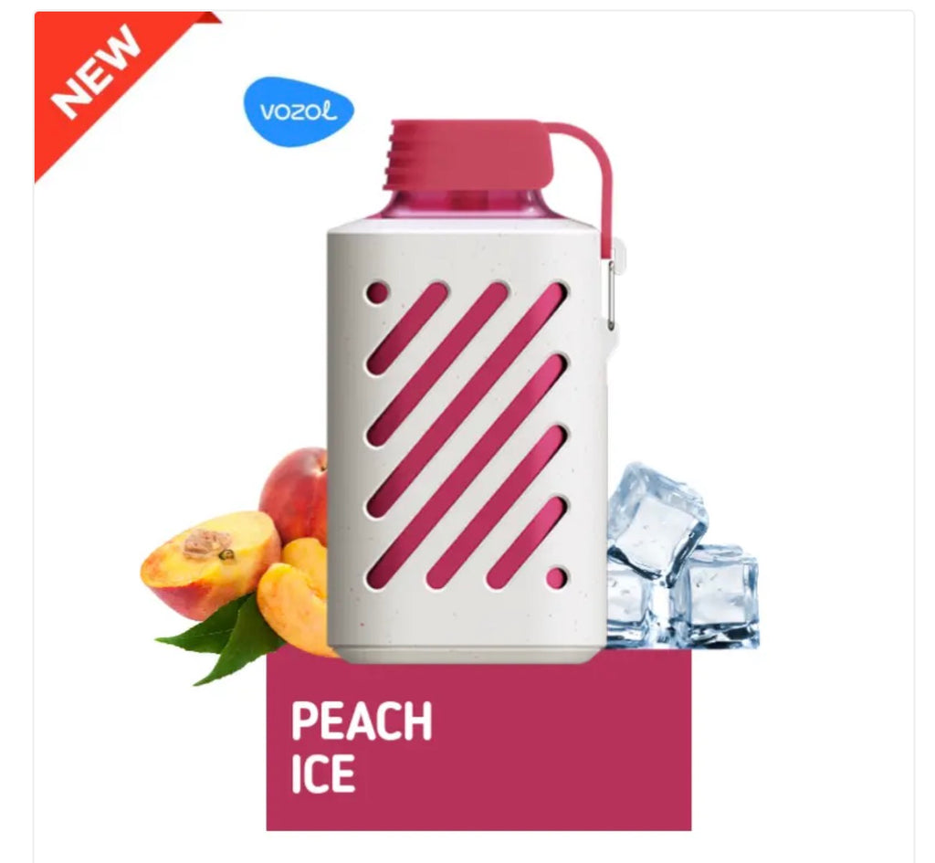 VOZOL GEAR 10000Puffs